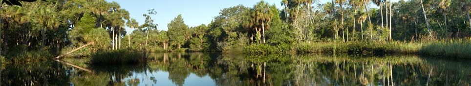 Wetlands are a precious resource.